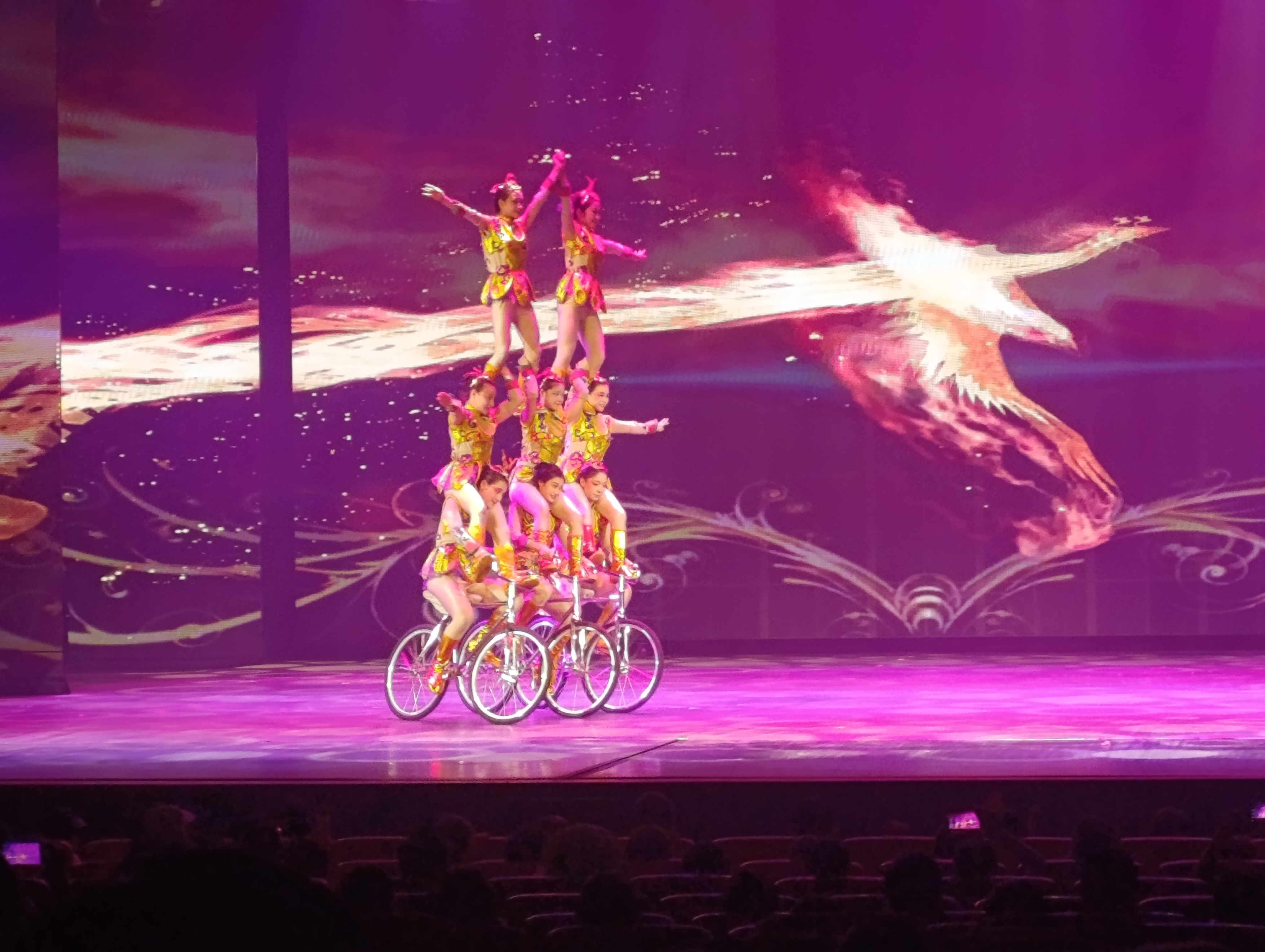Bicycles, another show