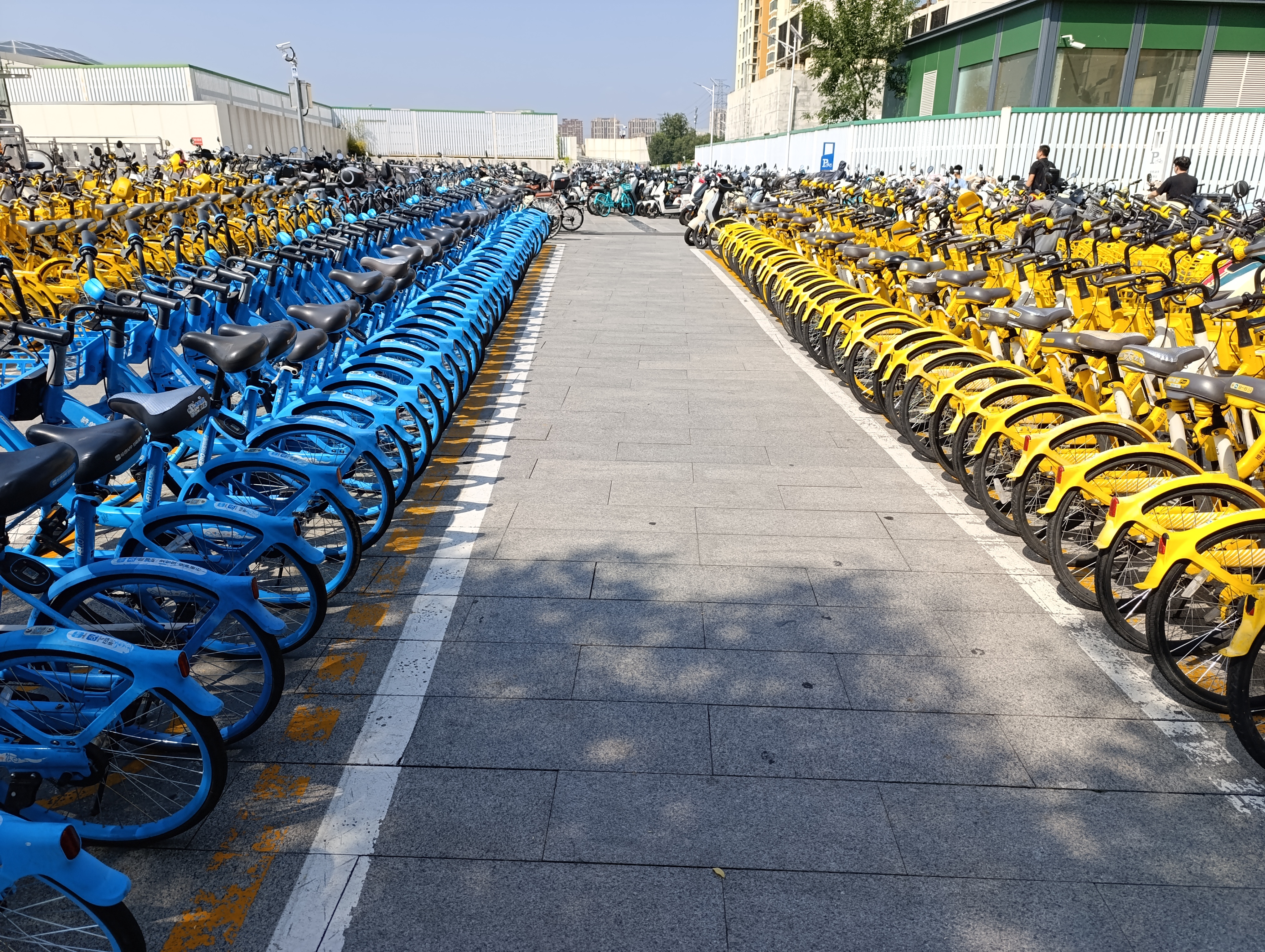 Bicycles for rent in good condition