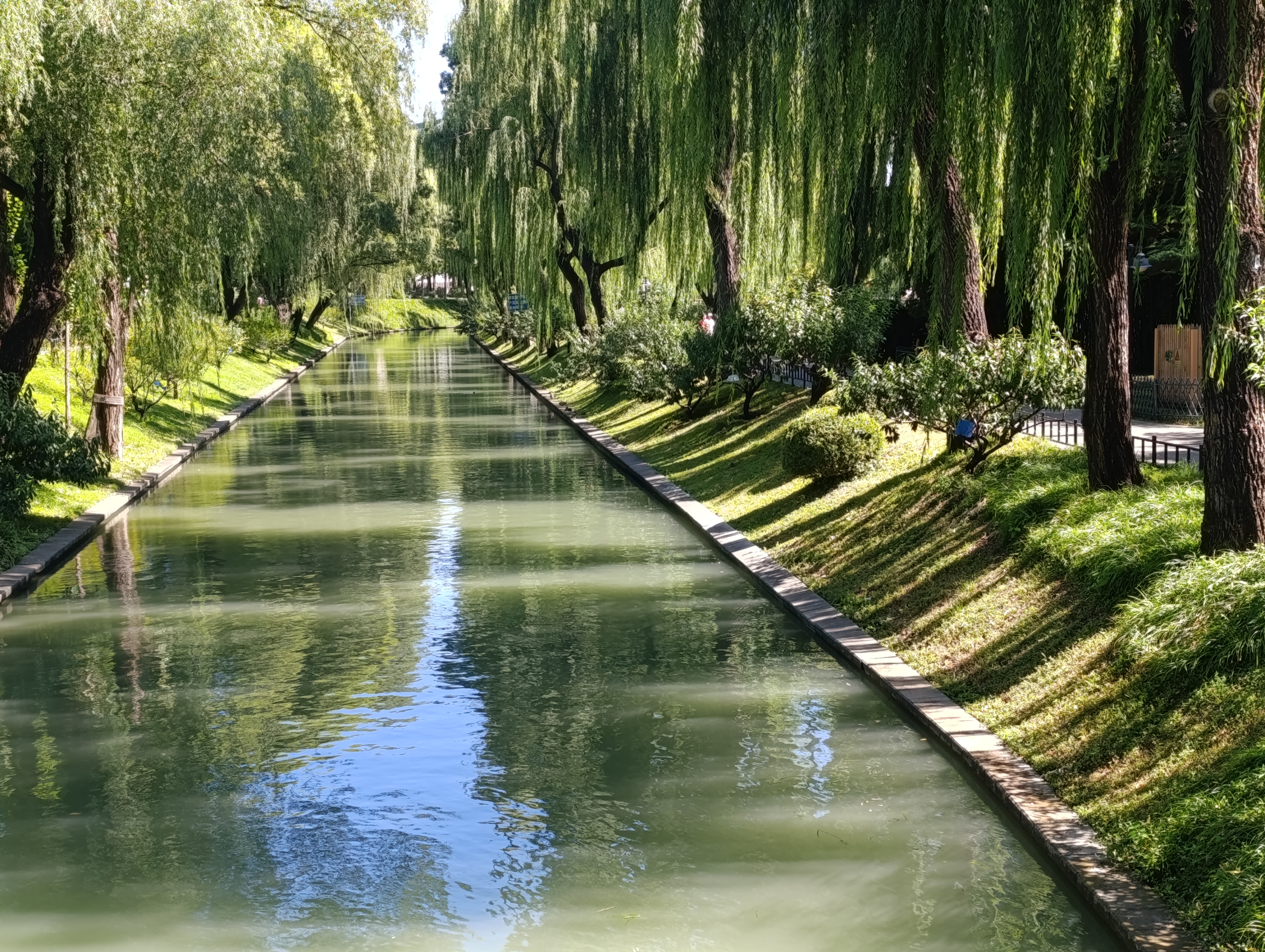 Canal in the park