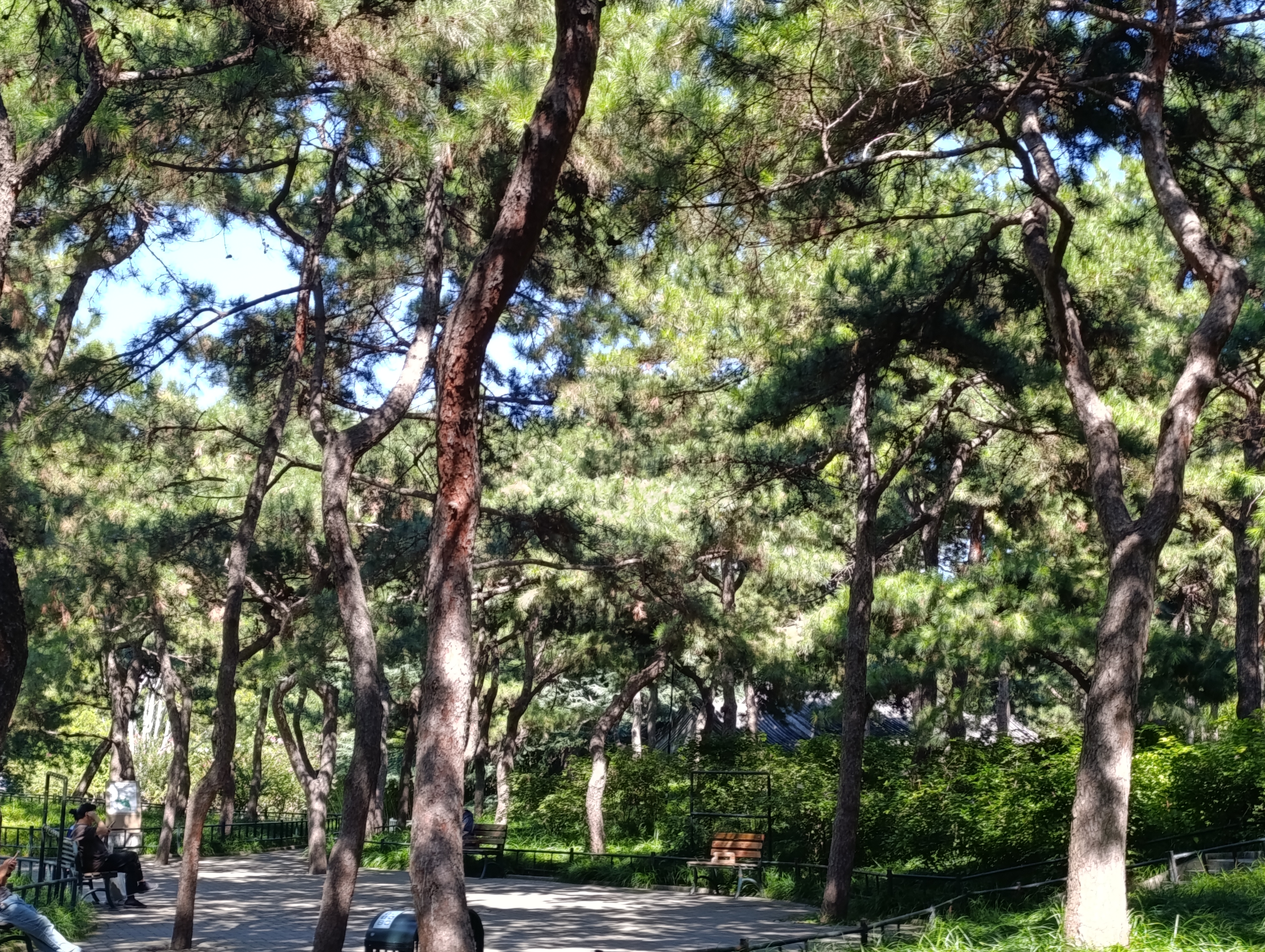 Very green here